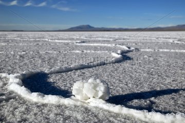 Immense SalzwÃ¼ste namens Salar von Uyuni Bolivien