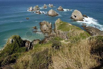 Nugget Point promontory New Zealand