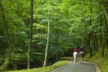 Horseback riding in the Natural Park of Pageta in Spain