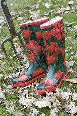 Boots decorated with red tulips in garden