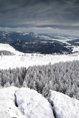 Mountain of Ardèche under the snow in winter