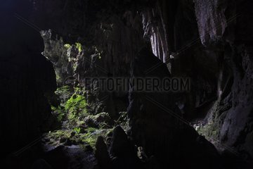 Cave Azul Protection forest Alto Mayo Peru