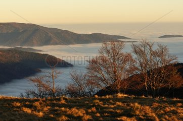 Cloud sea in the valley of the Doller in the Vosges