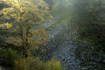 The Fairy Bridge pile of rocks between two valleys Vosges