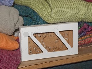 Pheromone trap for Webbing clothes moth in a closet