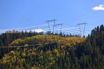 Power lines and forest in autumn colors Canada