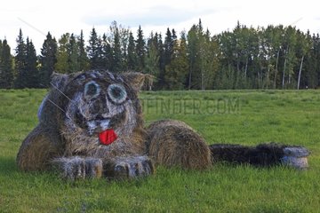 Bales of straw arranged and decorated in the form of big cat
