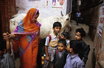 SchÃ¼ler und heilige Kuh in den StraÃŸen Indiens Benares