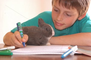 Enfant faisant ses devoirs avec un lapin sur le bureau