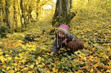 Girl collecting dead leaves in the forest France