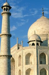 Agra  le Taj Mahal détail  Uttar Pradesh