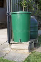 Plastic water butts collecting rainwater from shed roof UK