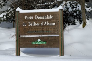Panel of entry in national forest France [AT]