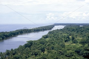Tropenwald und Süßwasserkanal Tortuguero NP