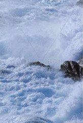 Vagues s'écrasant sur les rochers Parc National Torndirrup