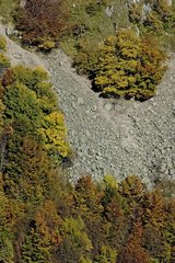 Granitic scree Massif des Vosges France