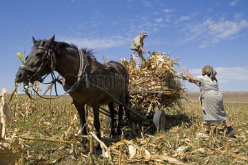 Peasants charging a charette drawn by a horse Bulgaria