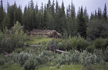 Hunt hut on Mackenzie riverbank Canada