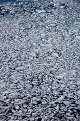 Dislocation of the Petermant abular iceberg Labrador Sea