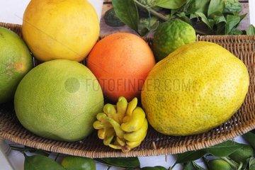 Various citrus in a basket