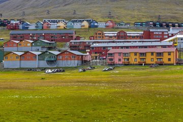 Multicolored houses in Longyearbyen - Svalbard Svalbard