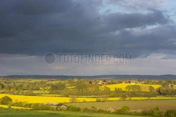 Fields in the area of Cuddington Bucks at spring - GB