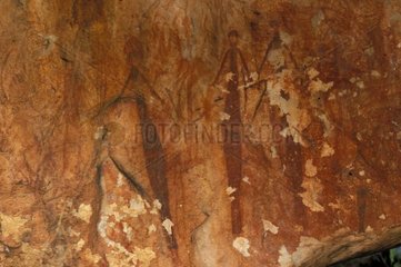 Cave paintings aboriginals bradshaw type Kimberley