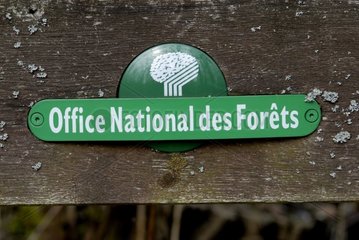 Panel des Nationalen Büros der Wälder Frankreich