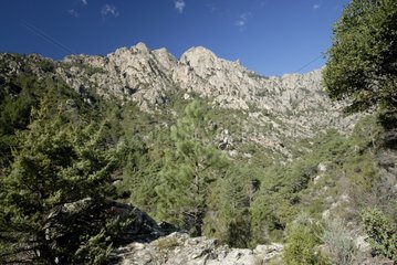 Tavignano Valley - Corsica France