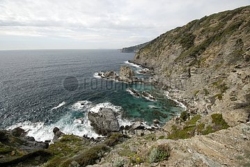Porquerolles island - National Park of Port-Cros France