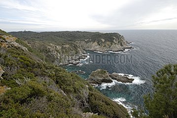 Porquerolles island - National Park of Port-Cros France