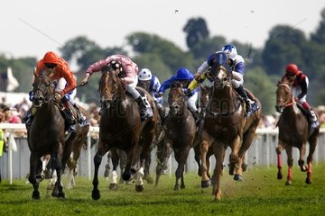 Horse-race in the United Kingdom