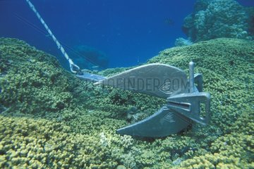 Ancre détruisant le corail Rangiroa Polynésie Française