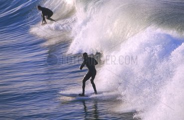 Surfers on the beaches of Rio Brazil
