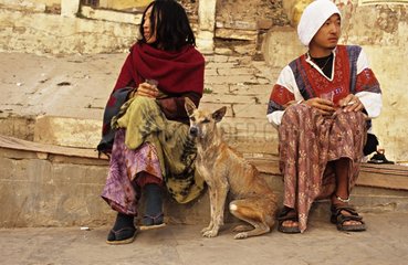 Dog sitting between a young couple India