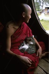 Cat sleeping on a monk in a temple Burma