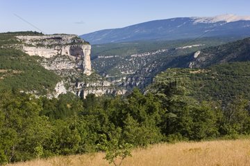 Cire rock above the gorge Nesque Provence France