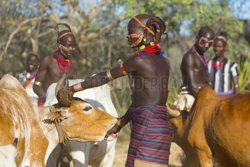 Hamer people at a ceremony - Omo valley Ethiopia