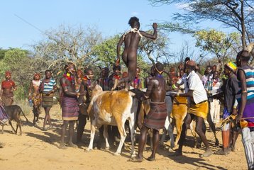 Hamer people at a ceremony - Omo valley Ethiopia