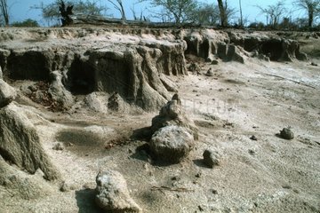 Erosion due à la perte de couverture végétale du sol Zambie