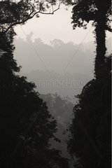 View of the rainforest in haze Sumatra