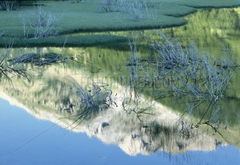 Reflets sur le lac des Sagnes Haute Ubaye France