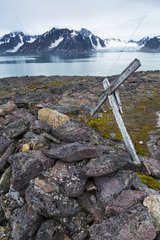 Tumb on the coast - Bellsund Spitsbergen Svalbard