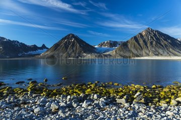 Coastal landscape - Spitsbergen Svalbard