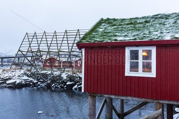 House on stilts and blow fish - Svolvaer Lofoten