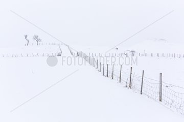 Snowfields - Lofoten Norway