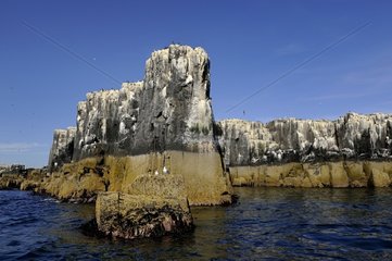 Pinnacles Staple Island - Farne Islands England UK