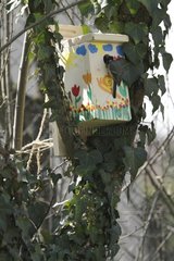 Tit on birdhouse decorated - A School of Biodiversity