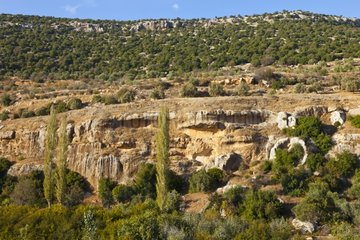 Valley landscape Ajloun Forest Reserve Jordan