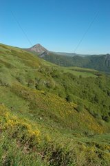 Puy Griou im PNG von Auvergne -Vulkanen in Cantal